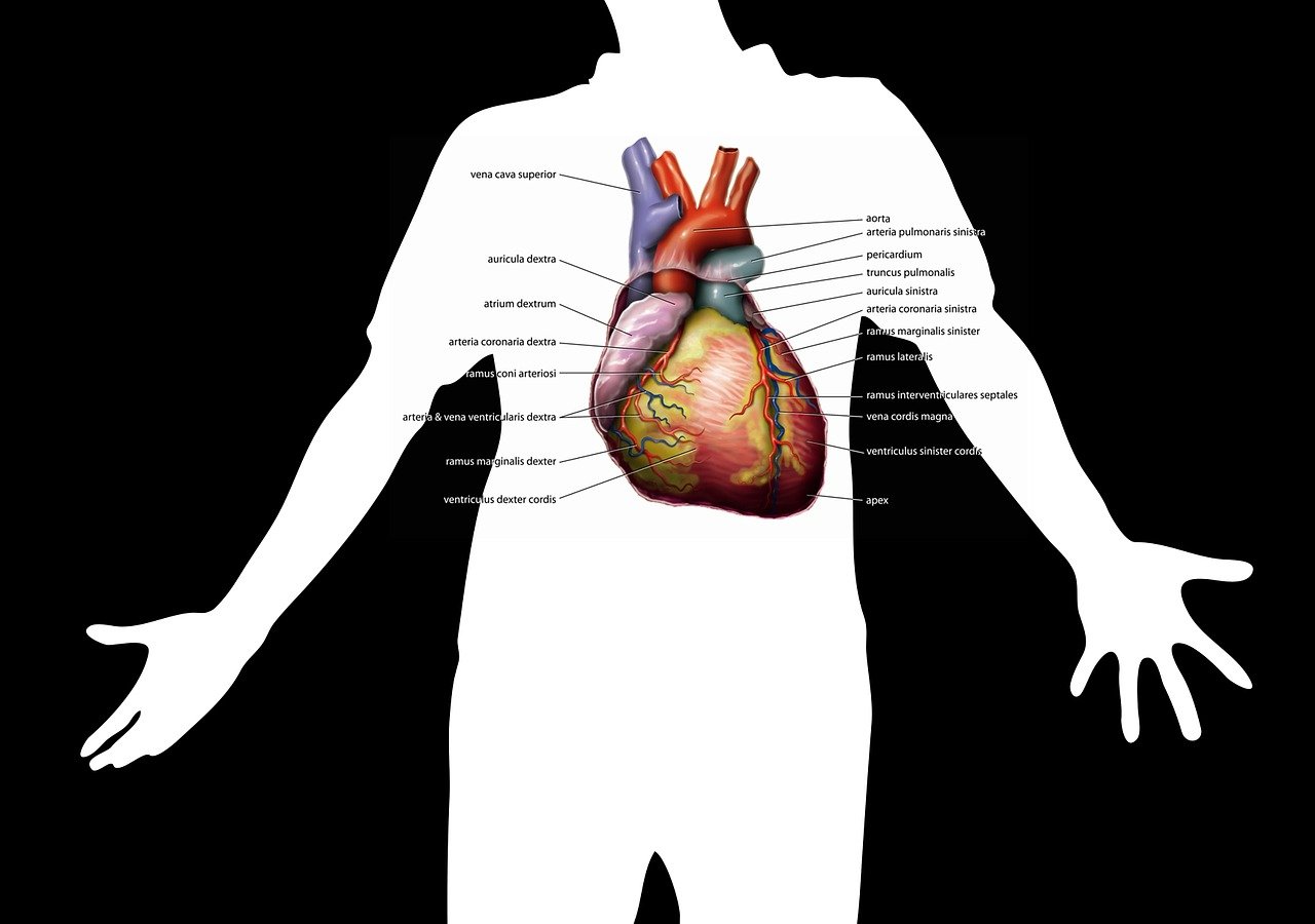 Read more about the article हाइपरटेंशन (उच्‍च रक्‍तचाप) क्‍या है? – What is Hypertension (High Blood Pressure) in Hindi?